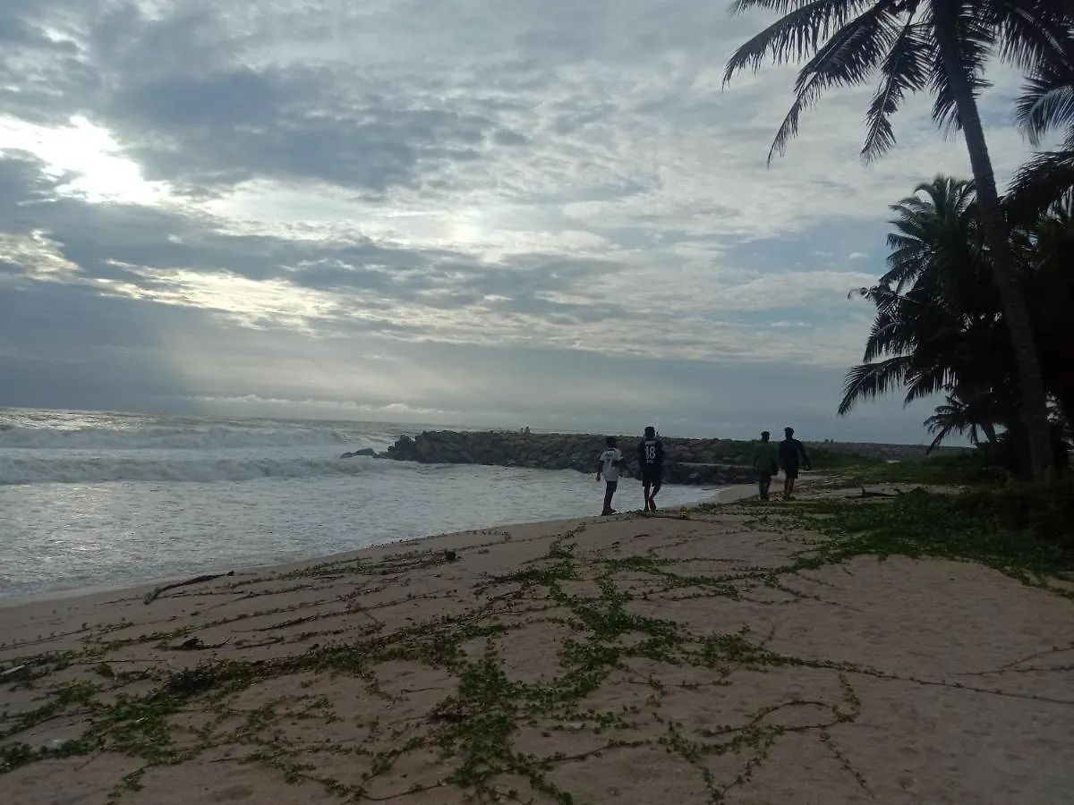 Marari Beach Daze Homestay Alappuzha